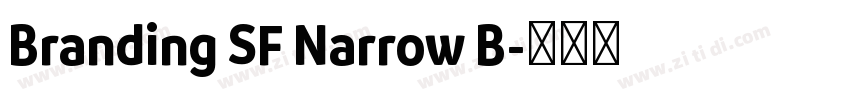 Branding SF Narrow B字体转换